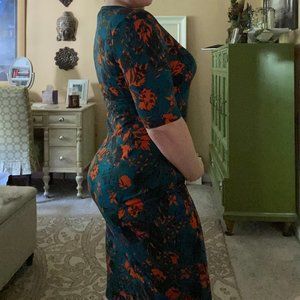 NWT LulaRoe Botanical Julia Dress M